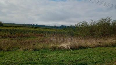 small_img_1