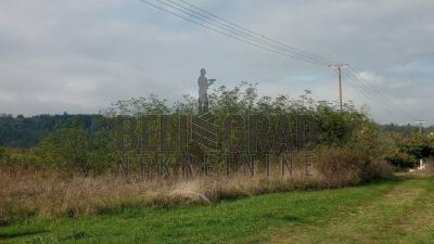 small_img_2