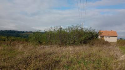 small_img_3