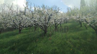 small_img_1