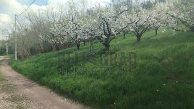 small_img_3