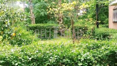 small_img_10