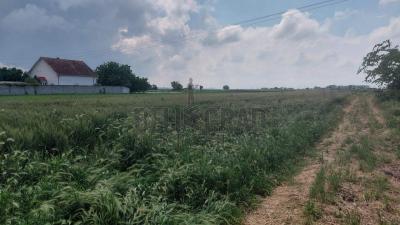 small_img_1
