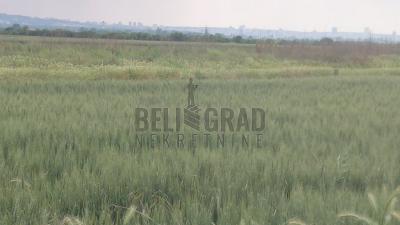 small_img_1