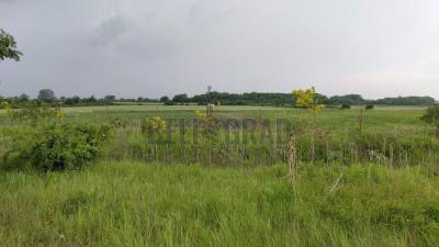 small_img_1