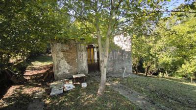 small_img_4