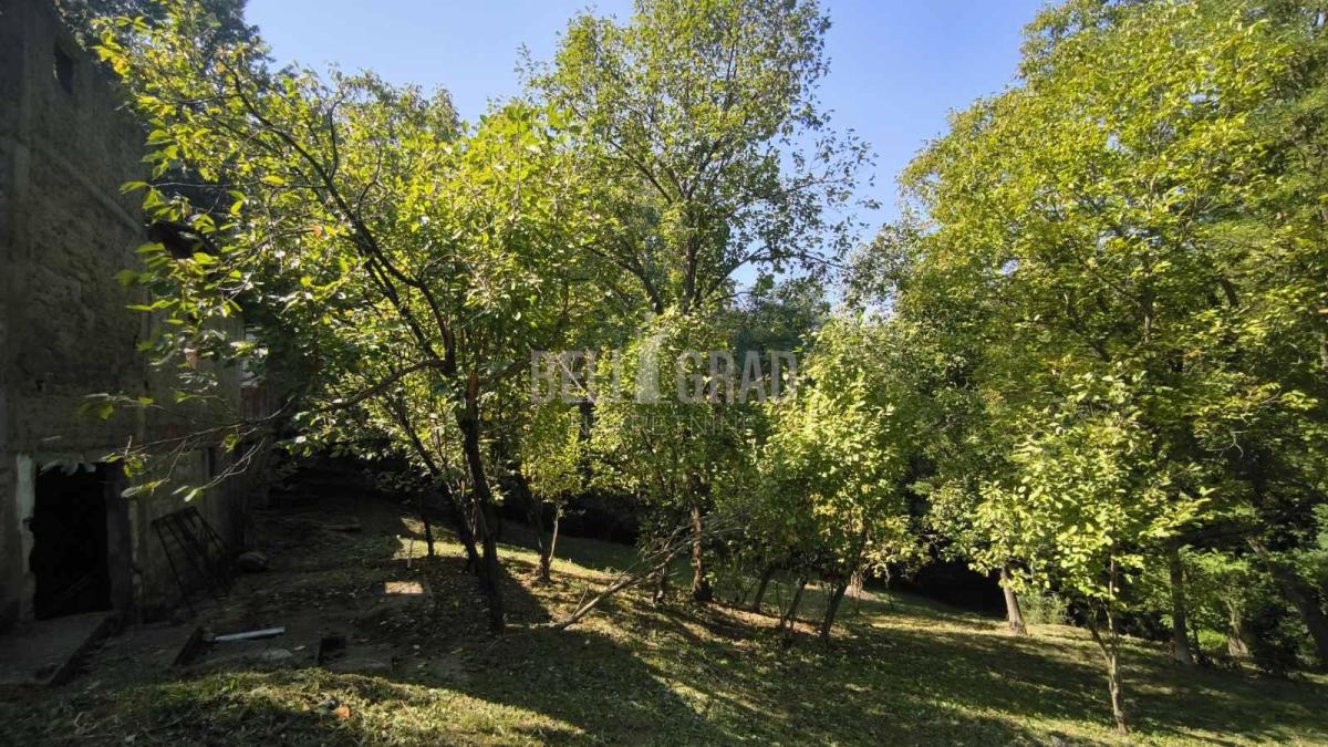 big_img_5
