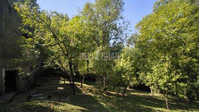 small_img_5