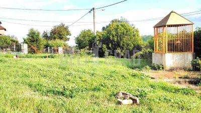 small_img_19