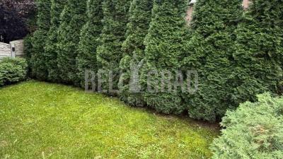 small_img_16