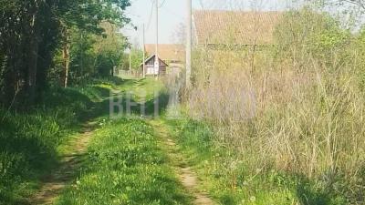 small_img_4