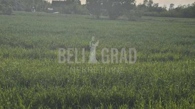 small_img_7