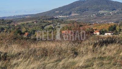 small_img_1
