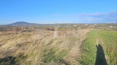 small_img_2