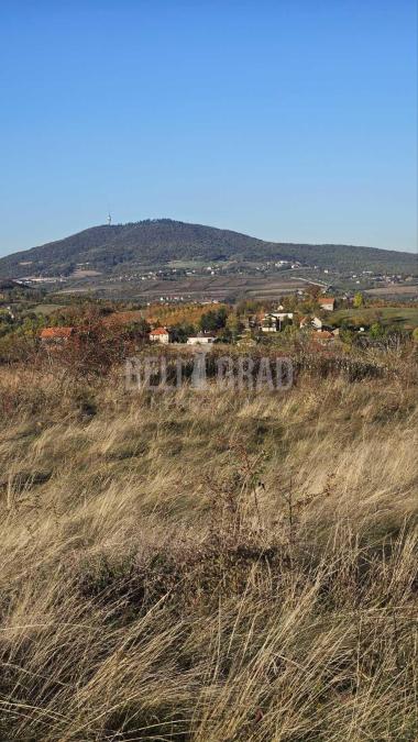 big_img_3