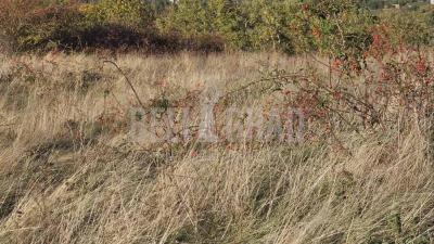small_img_4
