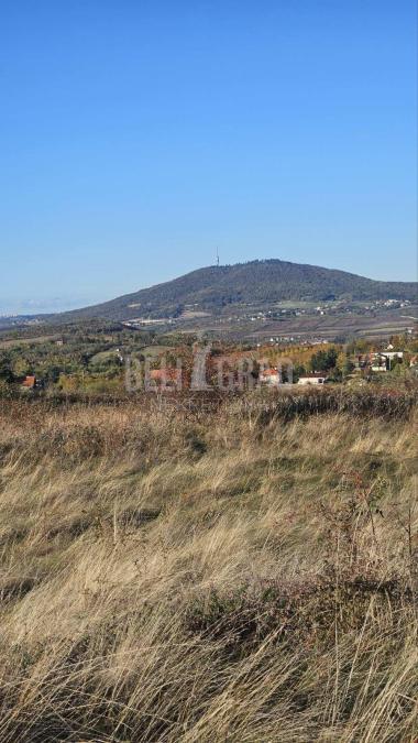 big_img_5