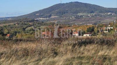 small_img_5