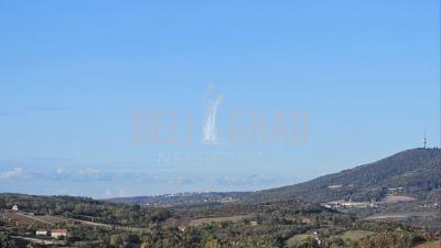 small_img_6