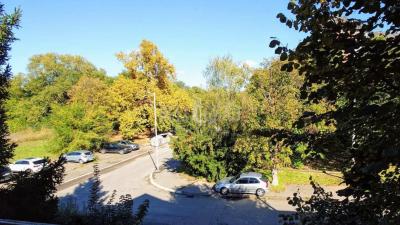 small_img_11