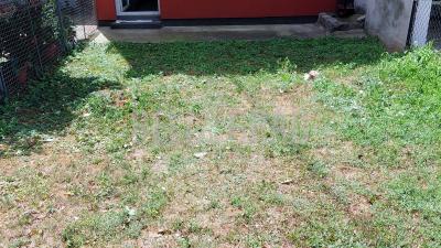 small_img_18