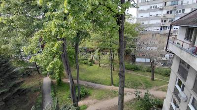 small_img_19