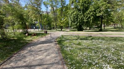 small_img_20