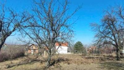 small_img_1