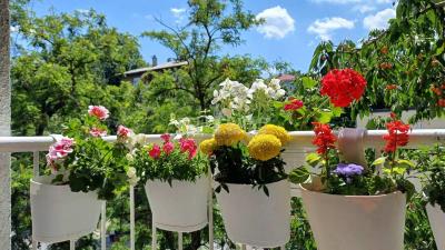 small_img_16