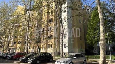 small_img_13