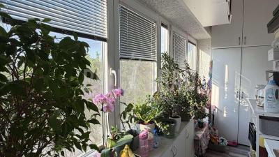 small_img_14