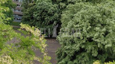 small_img_1