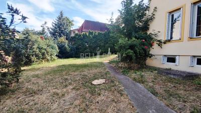 small_img_19