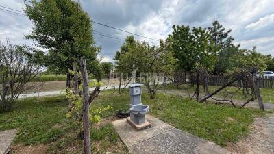 small_img_10