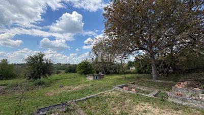 small_img_12