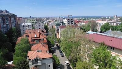 small_img_19
