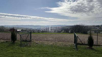 small_img_20