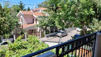 small_img_8