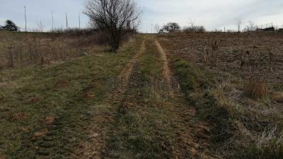 small_img_2