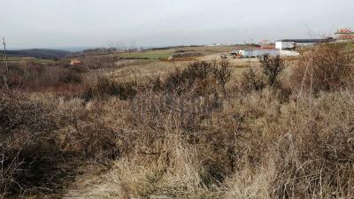 small_img_4