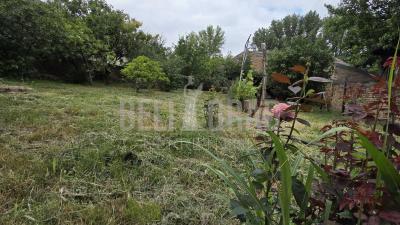 small_img_15