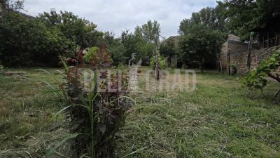 small_img_18