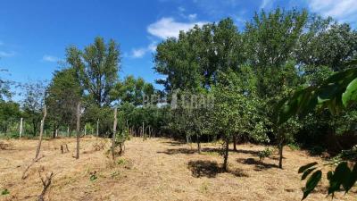 small_img_17
