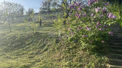 small_img_2