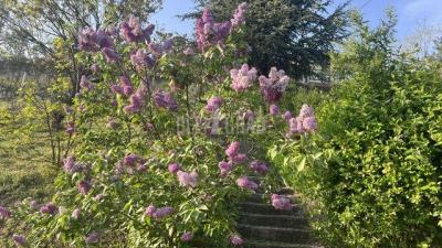 small_img_3