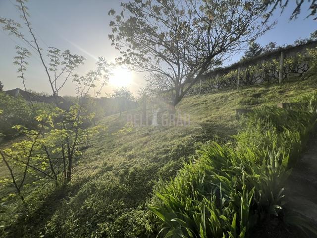 big_img_4