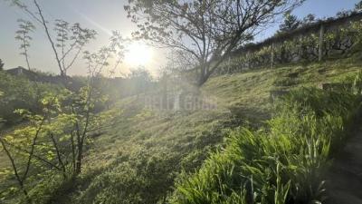 small_img_4