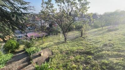 small_img_5