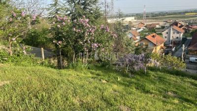 small_img_8