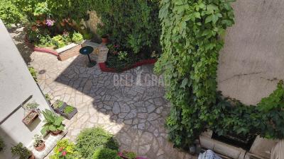 small_img_19